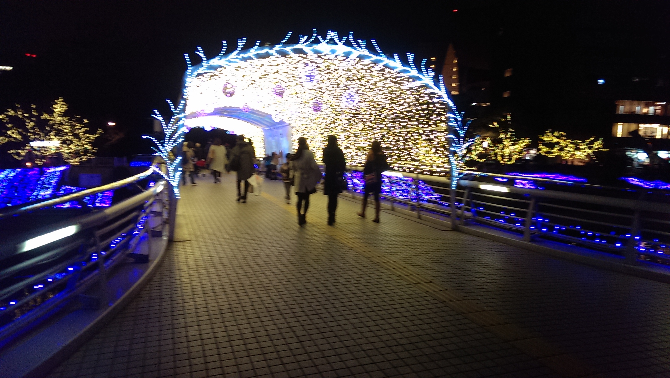 写真1