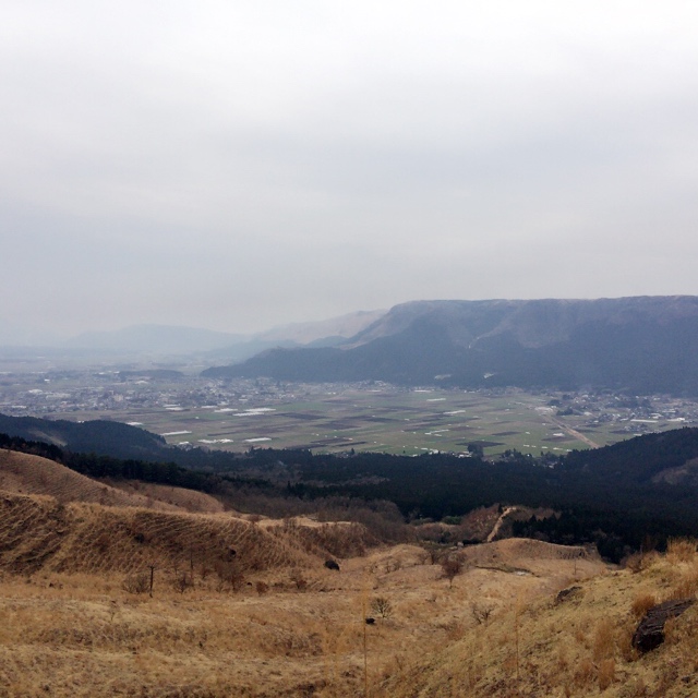 写真2