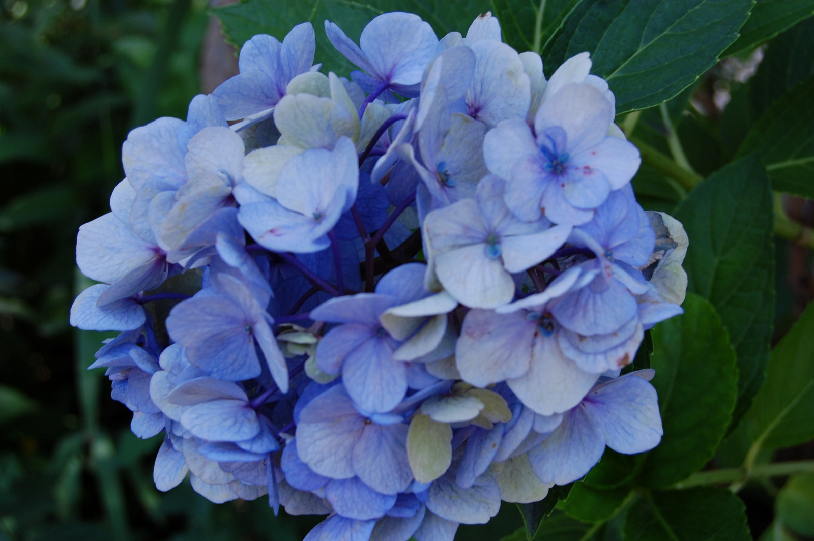 写真1