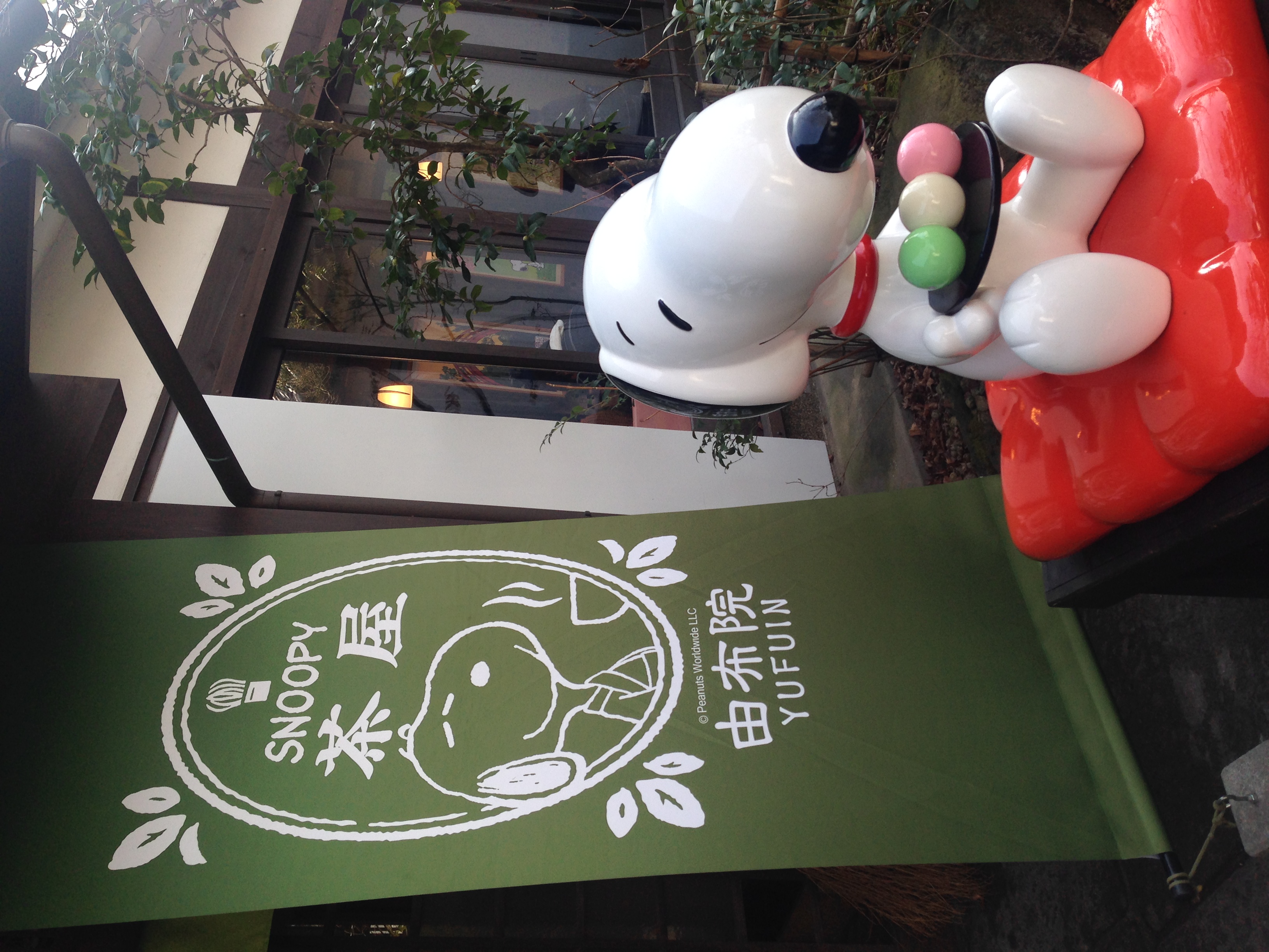 写真2