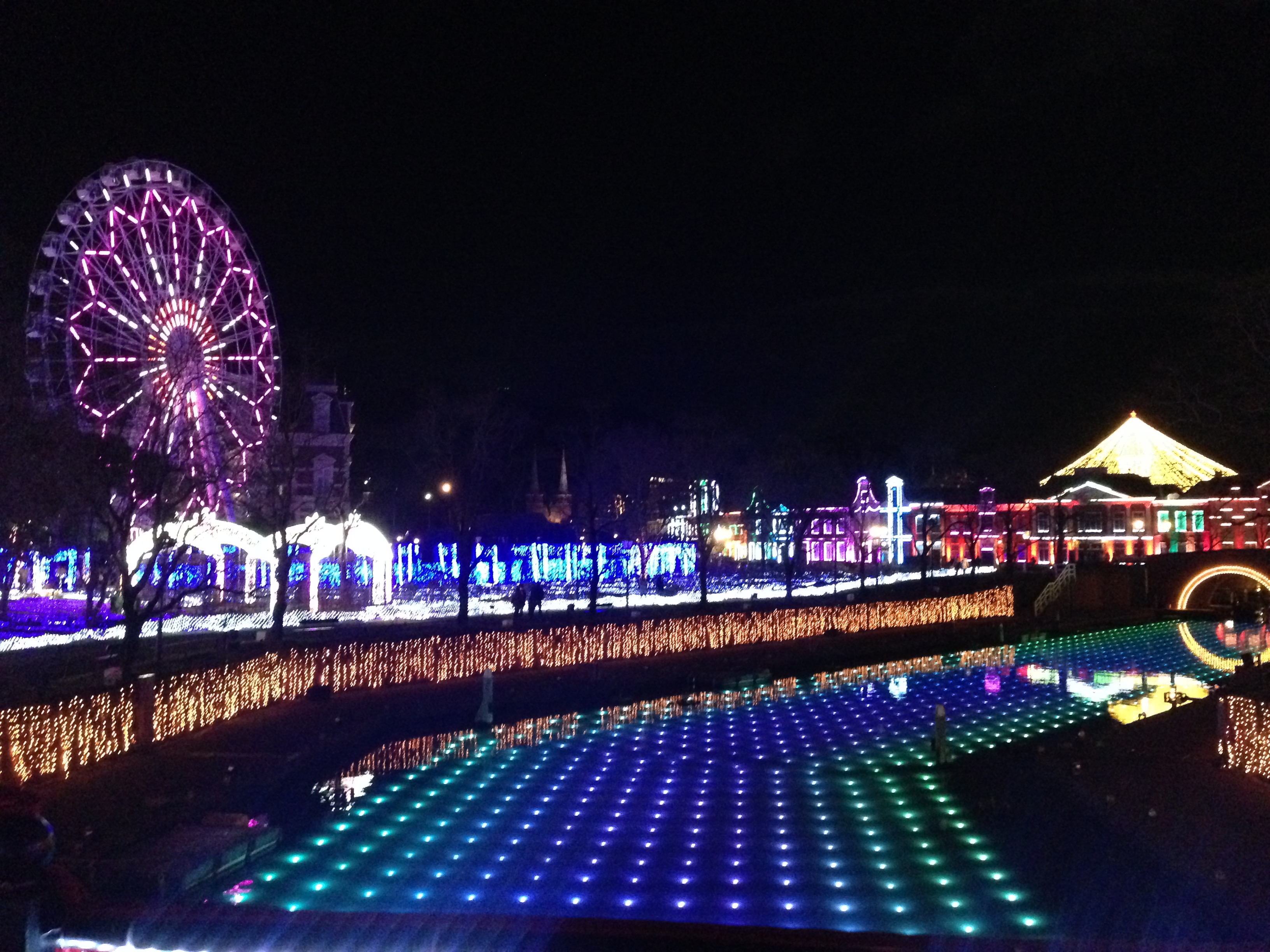 写真1