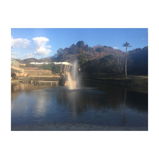 写真1