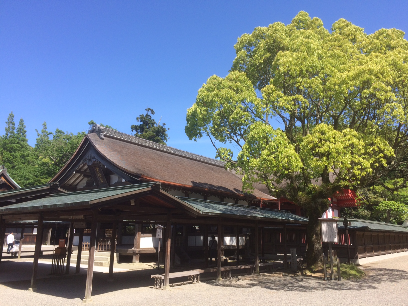 写真1