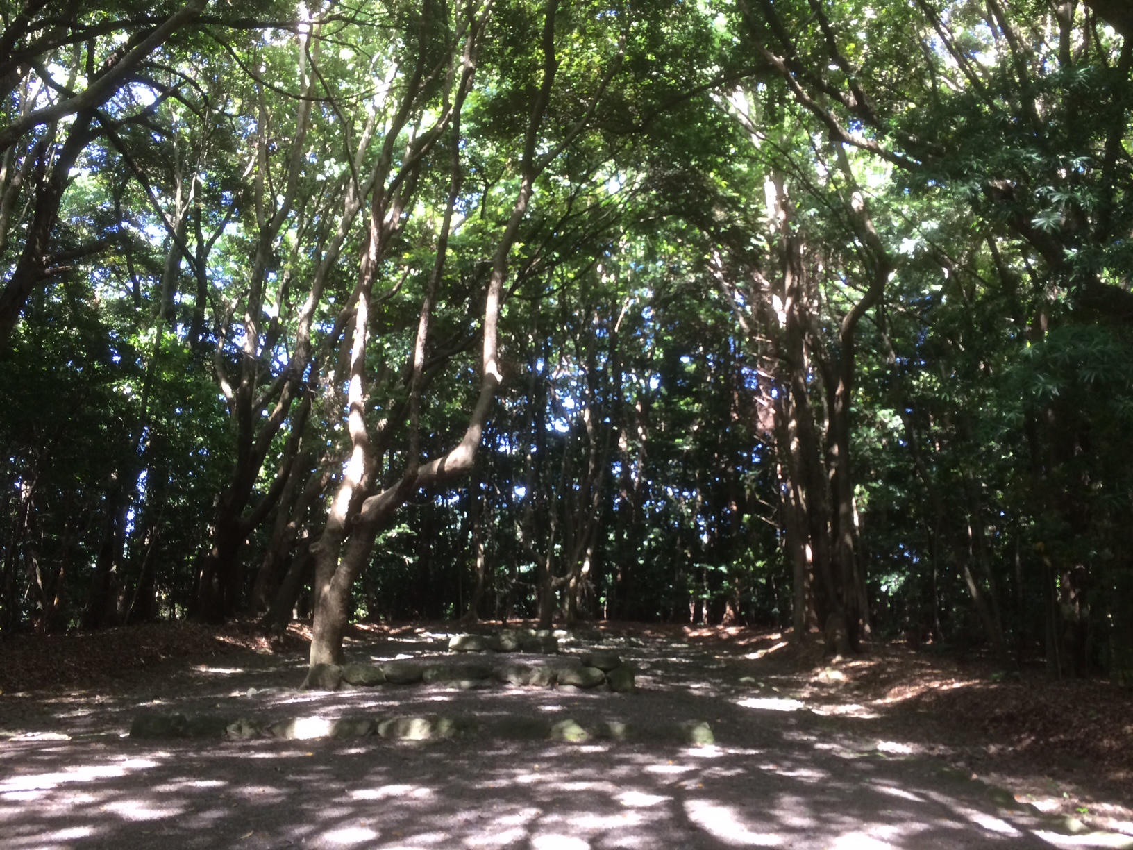 写真2