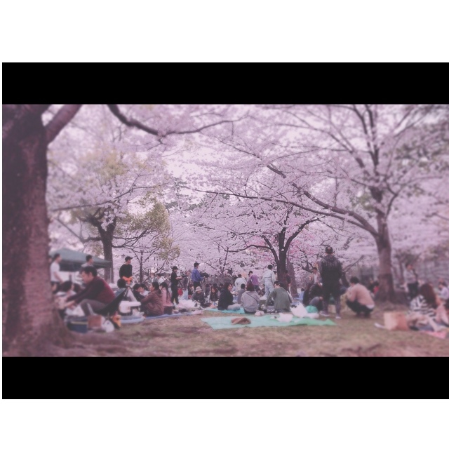 写真1