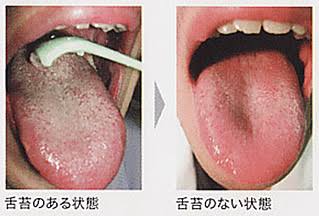 写真3