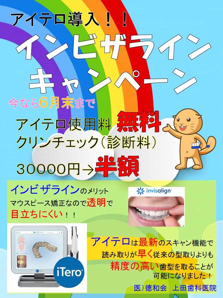 写真3