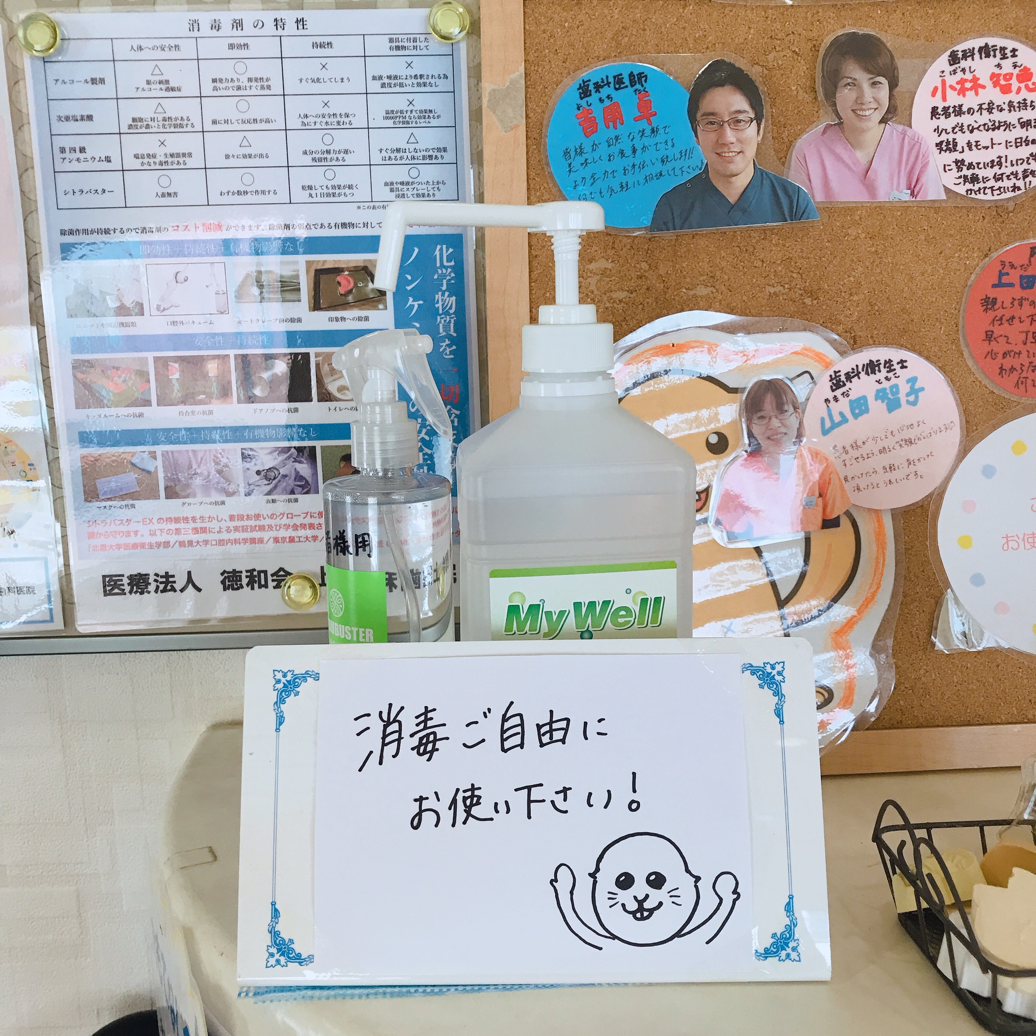 写真1