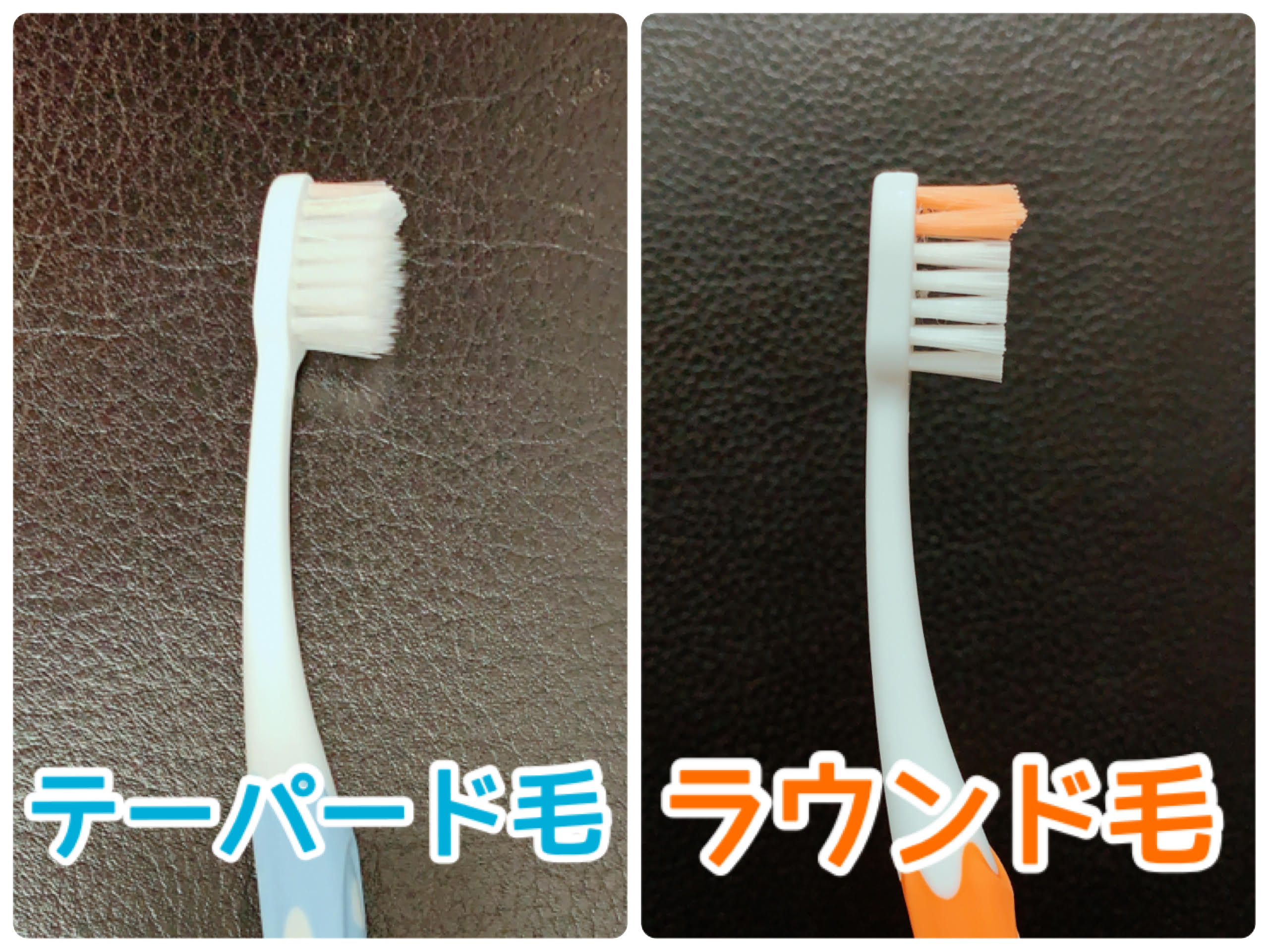 写真2