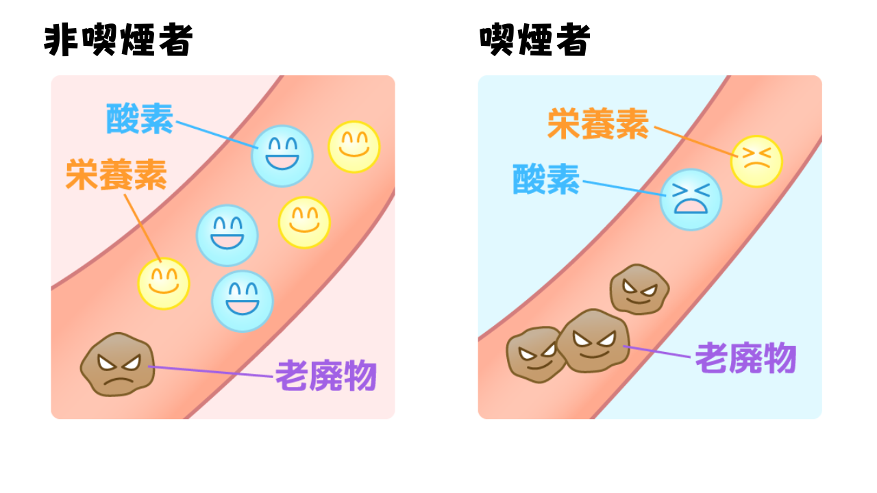 写真2