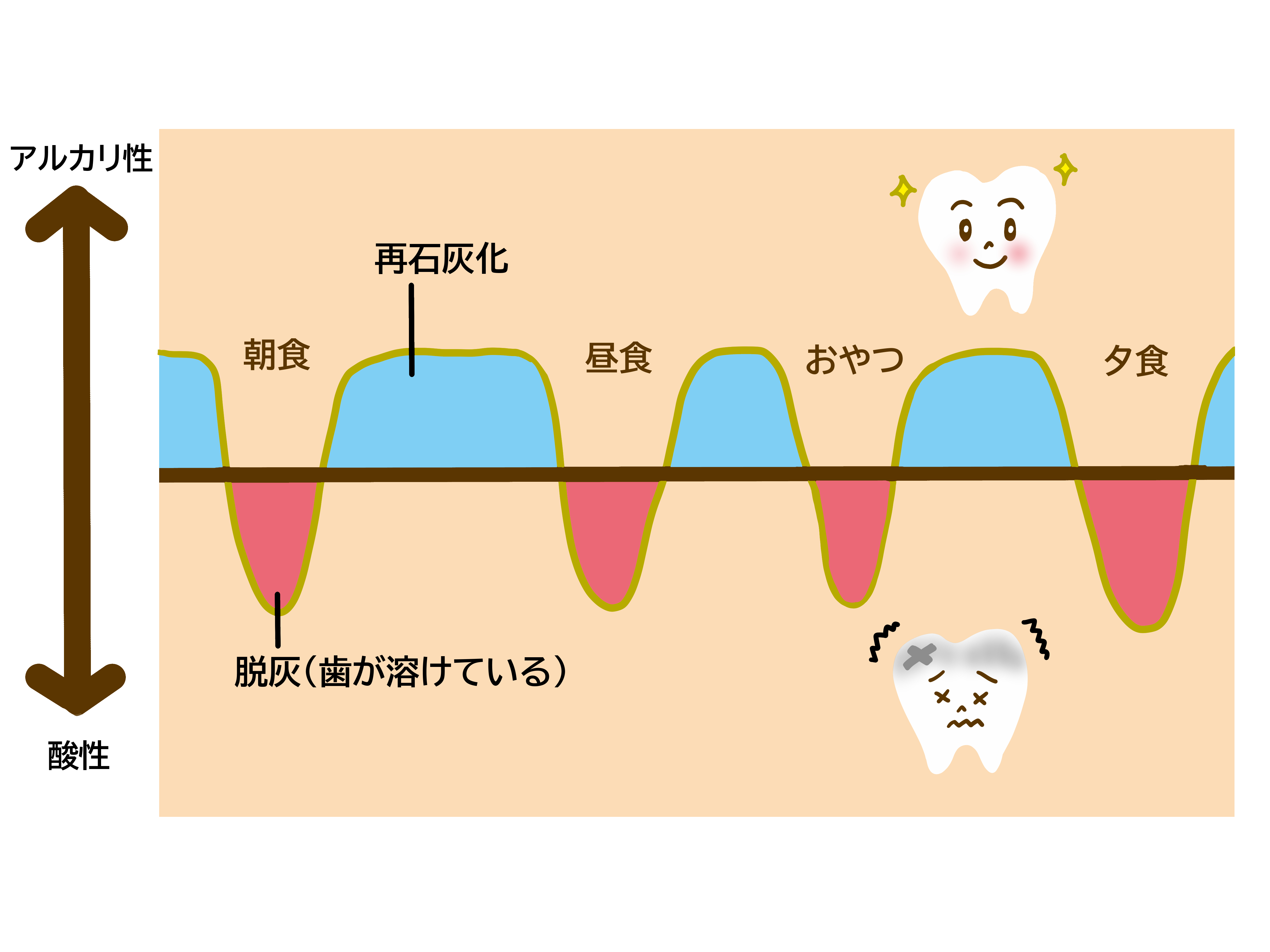 写真2