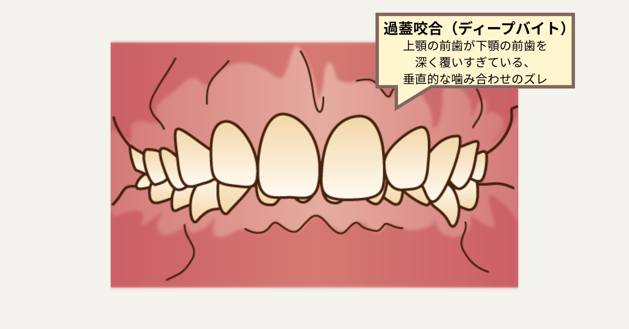 写真5